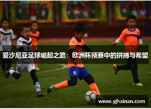 爱沙尼亚足球崛起之路：欧洲杯预赛中的拼搏与希望